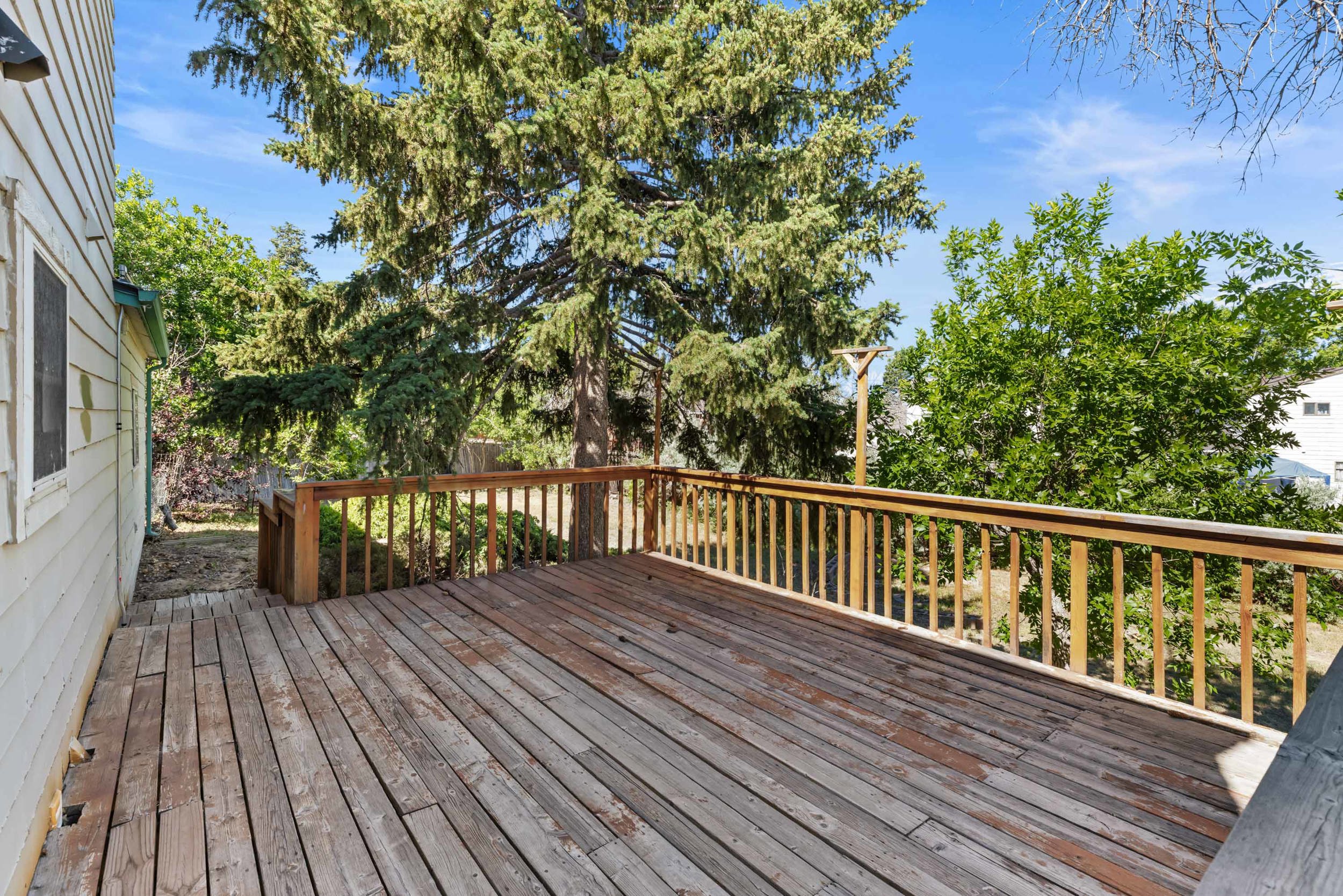 Back deck overlooking the yard